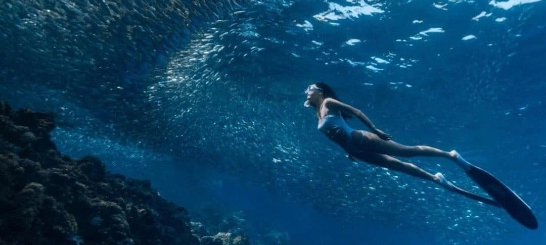 투어-큐레이션-이미지